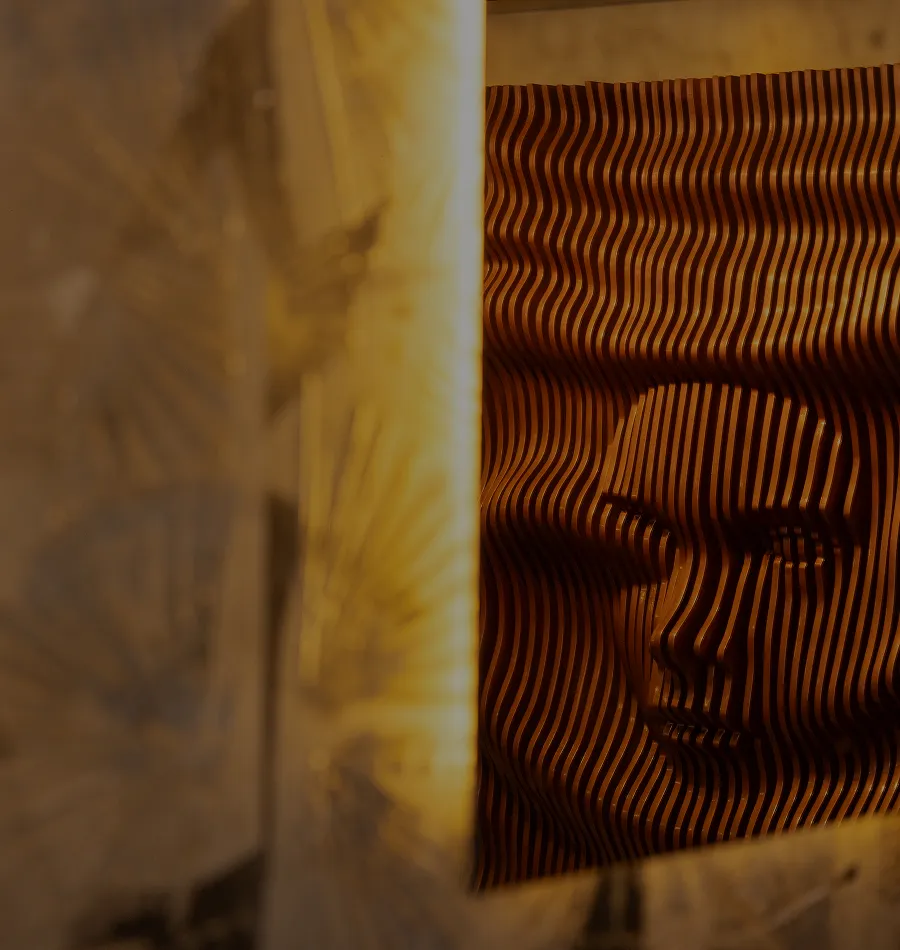 Bonao Restaurant Cuisine